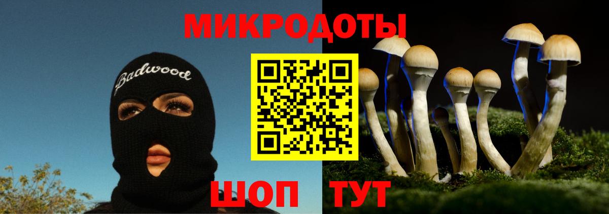Симферополь  Псилоцибиновые грибы Psilocybine cubensis  Вход с VPN 